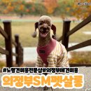 금신로 | 의정부 노령견도 편안하게 맡길 수 있는 애견미용 🐶 SM 펫살롱 방문 후기