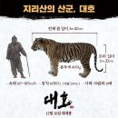 대호 이미지