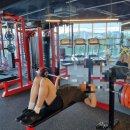 헬스피티 이미지