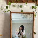 햇살약국 | [포항 북구 브런치 카페] 중정이 매력적인 감성 듬뿍 '오픈오프' (OPEN OFF) 방문 솔직 후기🌿