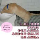 신남케어 이미지