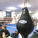 SB 복싱클럽 이미지