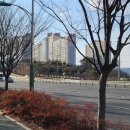 돌미로5길 이미지