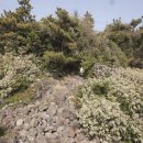 토산2리사무소 이미지