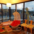 큐티애견 이미지