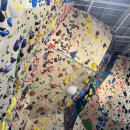 오토 코디(AUTO CODY) | 클라임투게더 수원 리드 클라이밍장에서 경험하는 짜릿함! 특별한 수원 클라이밍 체험 후기