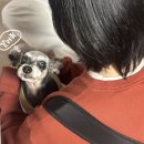 로즈옷방 이미지