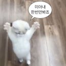 이마트24 유성반석역점 | 스물여섯이라니