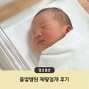봄빛병원 | 봄빛병원 제왕절개 후기 | 출혈 및 빈혈로 인한 수혈, 그리고 퇴원까지