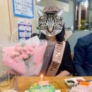 따뜻한 마음을 전한 리앤플라워 AK프라자점, 엄마 생신선물로 핑크 차밍장미 꽃다발 후기💐