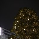 세븐일레븐 종로연지점 | 2023-12-15 가족끼리 나고야![ヤキトリトリッパメイエキヤナギバシ, 나고야야키토리, 야키토리토리파...