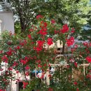 휴병원(급식실 포함) | 임신준비 4~5개월차, 차병원 서울역 난임센터 첫 방문후기