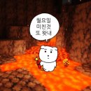 솔소리농장 | 11월. 가장 확실한 사랑을 너에게 4