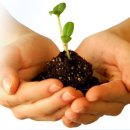 상원부동산중개 이미지