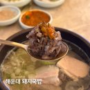 찐한부산돼지국밥(경산점) | 부산 해운대 돼지국밥 추천 입에 착 붙는 찐한 국물 거대돼지국밥