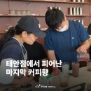 카페비마이프렌드태안점
