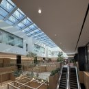 상상나무작은도서관 | [과천카페/지정타카페] 도서관, 갤러리가 있는 펄시커피 방문 후기