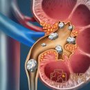 신장동물병원 이미지