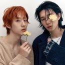 테오 이미지