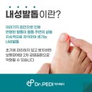 닥터페디&쭈네일 네이버블로그