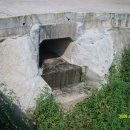 가나안농장 이미지