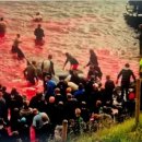 한국정상화성 노동조합 | 그라인다드랍 / 전비담