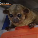 망고키즈수영장 이미지