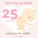 야탑로65번길 이미지