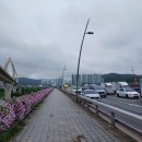 카페봄봄매천점 | 매천동 한신더휴웨스턴팰리스 이스턴팰리스 : 매천시장 이전 수혜단지 임장후기 입지분석