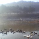 마당부동산공인중개사사무소 이미지