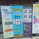 중부-현장-중부-1457 | (24.7.)[영월] 단종무덤 장릉 낮도깨비 주말 무료 뮤지컬 관람 후기 _ 디지털관광주민증 50%할인 입장