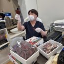 365황금손한의원 이미지