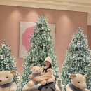 색달동-26 | 제주 신라호텔 2박 3일 호캉스 후기 / 신라호텔 골드 회원/수영장 예약 QR코드/헬스장