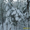 황송공원 이미지