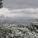 칸타빌레 바이올린 이미지