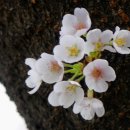 오섬권역 주차장 이미지