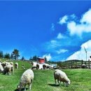 코레일광주본부(광주역) 이미지