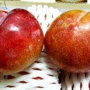 가을소녀 이미지