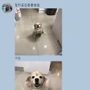 청라공감동물병원 이미지