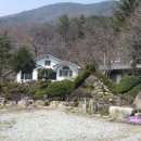 안심농원