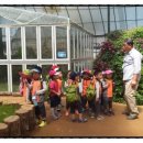 오즈의목장 이미지