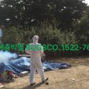 벅스코(BUGSCO)