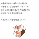 아이카페 이미지