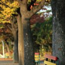 제물포여자중학교 이미지