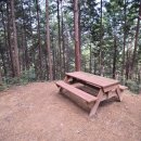 편백나무펜션2 이미지