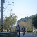여주-0925 Daum카페
