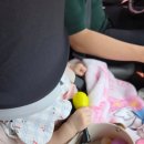 이지캠핑카 | [내돈내산] 다이치 이지캐리3 휴대용 카시트 후기 (ft. 9개월 아기, 스타렉스 카시트, 베이지 색상)