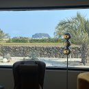 종달 홀라인 이미지