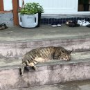 진도햇빛쨍쨍 영농조합법인 | 영월 동강시스타리조트&amp;한반도지형&amp;보덕사&amp;서부시장