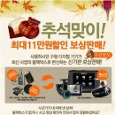 [2채널 블랙박스 추천] 현대엠엔소프트 소프트맨 블랙박스 R300DL 사용후기!